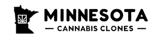 Minnesota Cannabis Clones