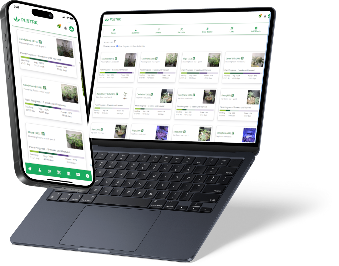 phoneAndlaptop2-3750090901
